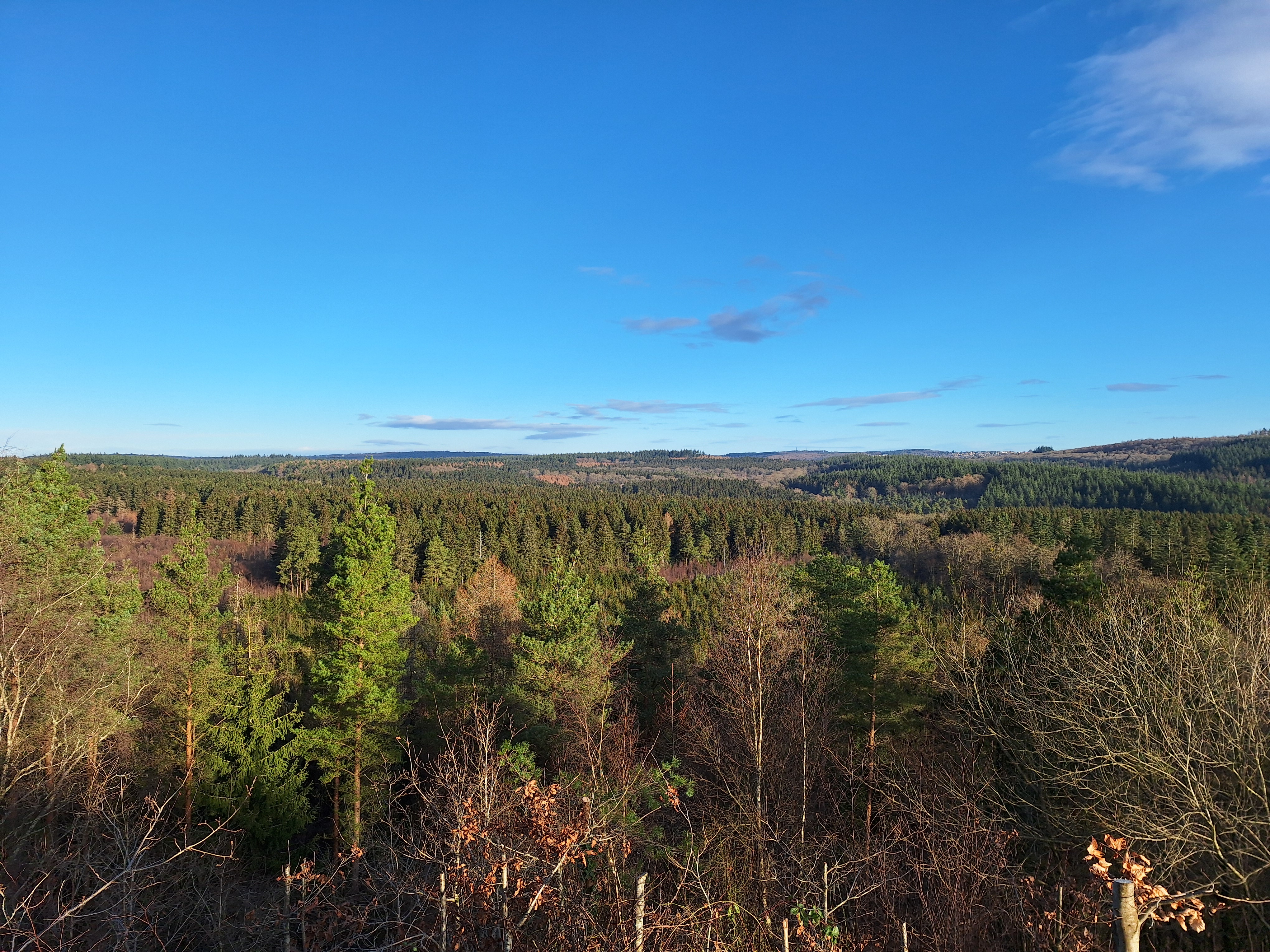 View from New Fancy View, Forest of Dean