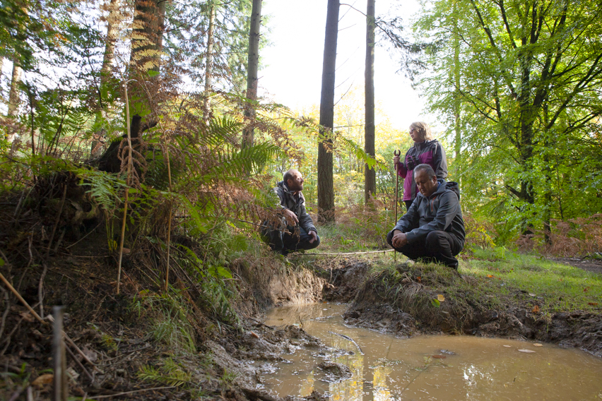 Ed Drewitt showing a wild boar wallow to guests