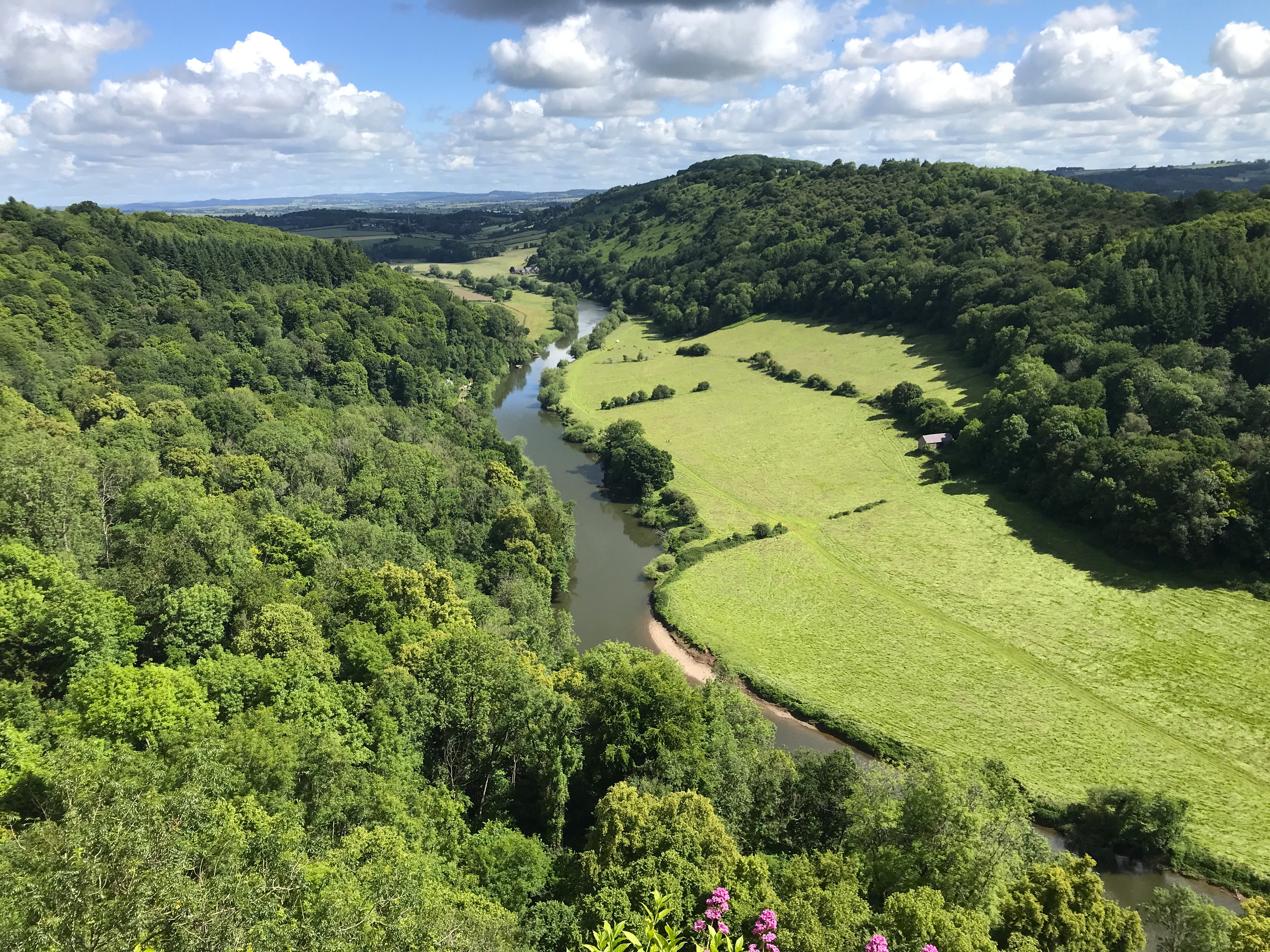 View from Symonds Yat